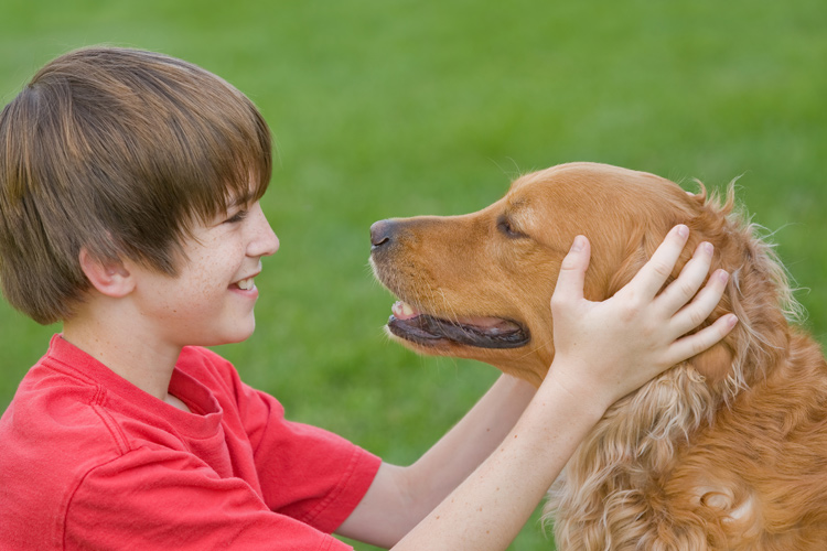 Nurturing-Health-and-Well-being-Through-Pet-Therapy