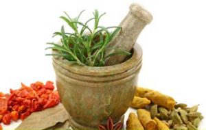 Ayurvedic Medicine