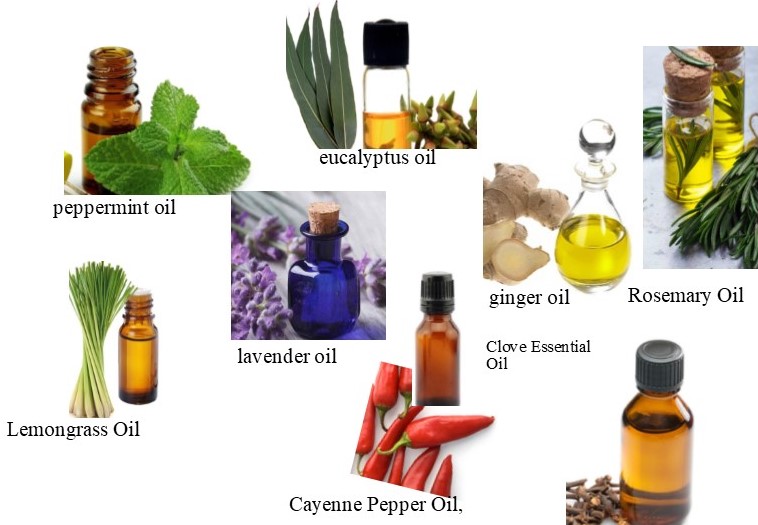 different aromatic oils