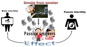 How Passive smoking effects fertility?