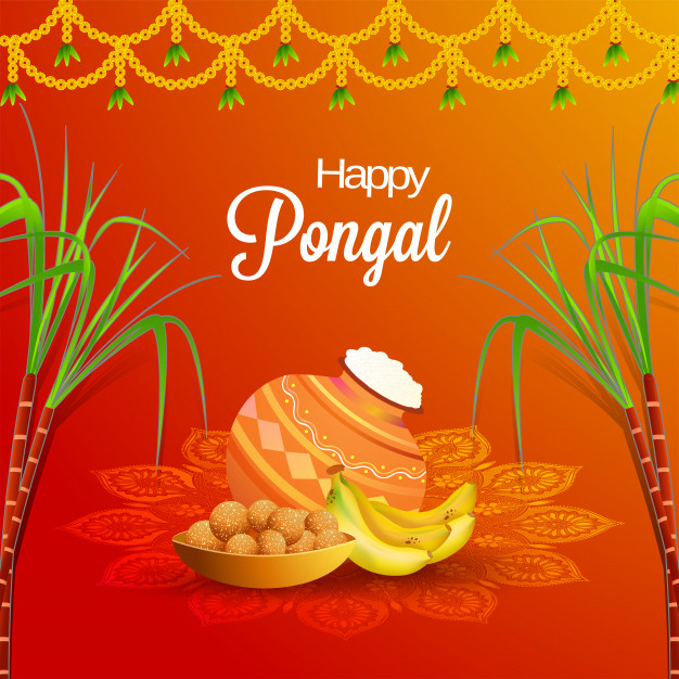 happy-pongal-background_1302-14167 - Health Vision