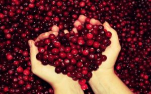 Do you know the Health benefits of Cranberries?