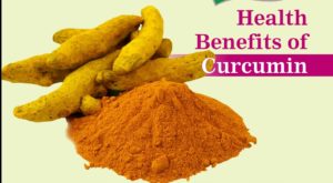 The Health Wonder - Curcumin