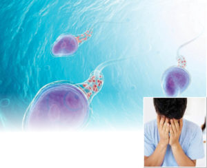 Testicular heat stress: The reason for male infertility?