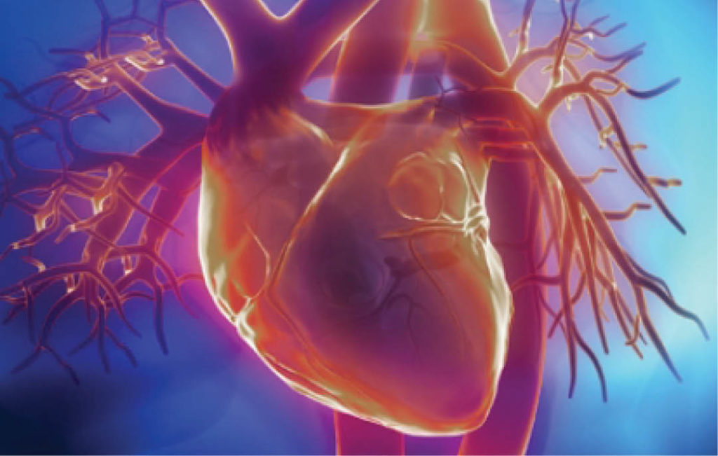 cardiovasular-insight
