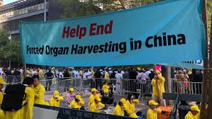 Illegal human organ harvesting - A booming industry  in China