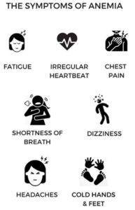 Symptoms-of-anaemia