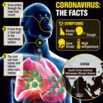 How COVID-19 affects the body?
