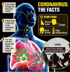 how-corona-virus-spreads