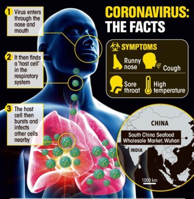 covid body affects corona virus health