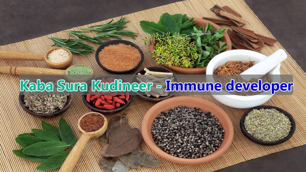 Kaba-Sura-kudineer-immune-developer-