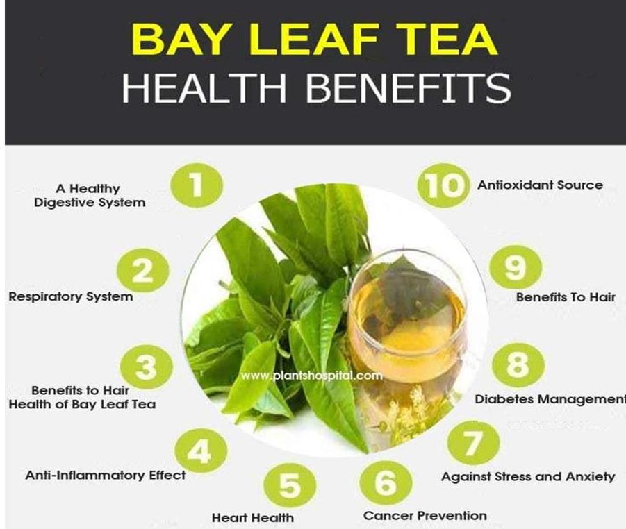 Bay Leaf Health Benefits 