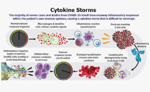 COVID-19 infection leads to cytokine storm