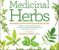 Worth planting these herbals