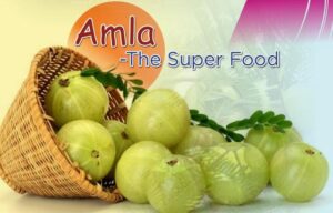 Amla-the super food, immunity booster