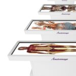 Trivitron Healthcare partners with Anatomage for virtual anatomy dissection table