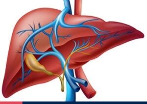 Viral hepatitis - a serious public health problem in India