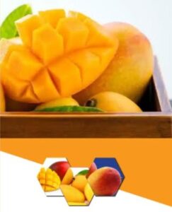 Mango fruit - Eat and Treat