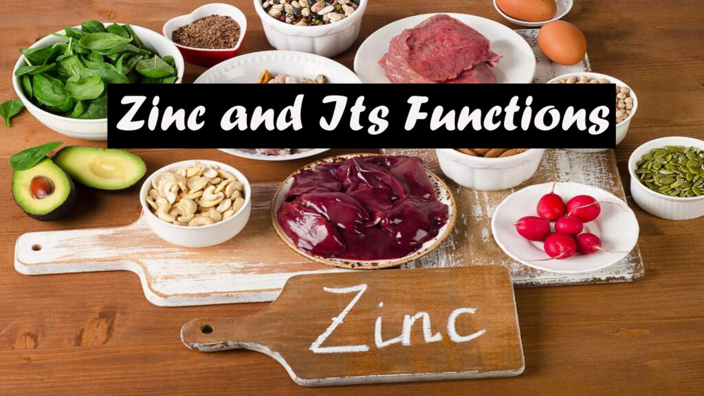 Zinc and its functions Archives - Health Vision