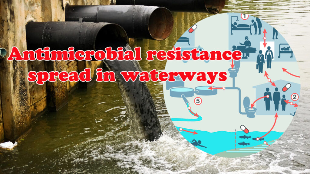 Antimicrobial-resistance-spread-in-waterways