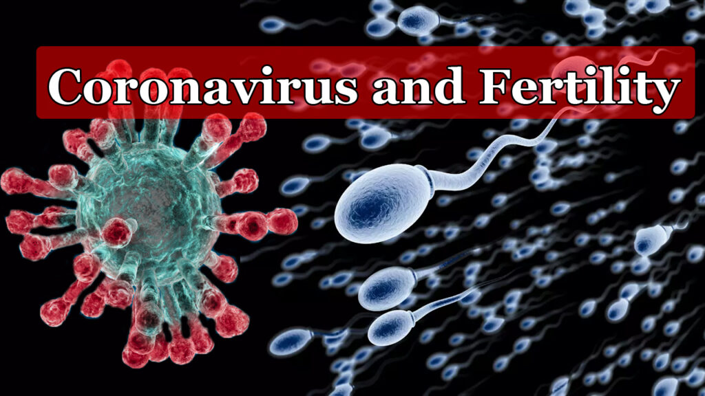 Coronavirus-and-Fertility.