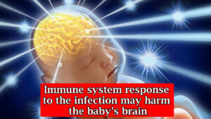 Immune-system-response-to-the-infection-may-harm-the-babys-brain