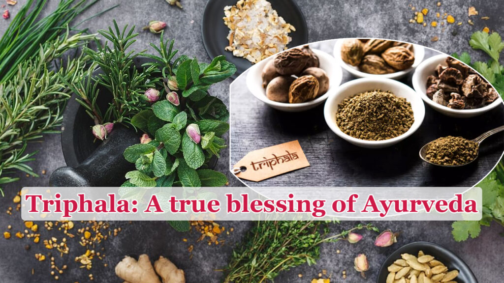 Triphala-A-true-blessing-of-Ayurveda-