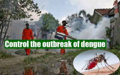 Control-the-outbreak-of-dengue