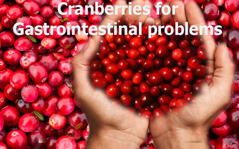 Cranberries for Gastrointestinal problems