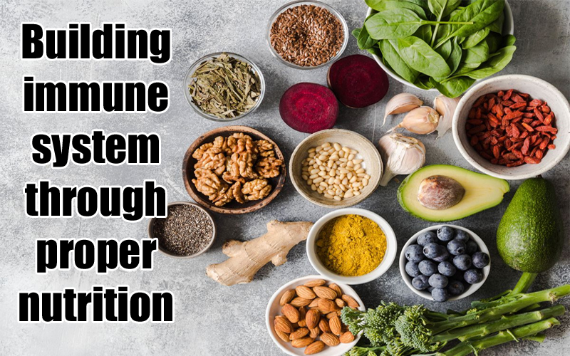 Building up your immune system through proper nutrition