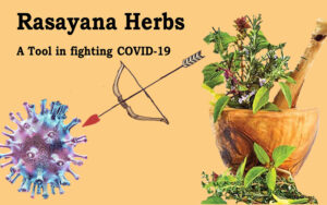 Rasayana-herbs-a-tool-fighting-COVID-19
