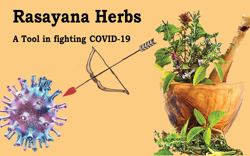 Rasayana-herbs-a-tool-fighting-COVID-19