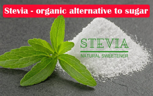 Stevia-organic-alternative-to-suga