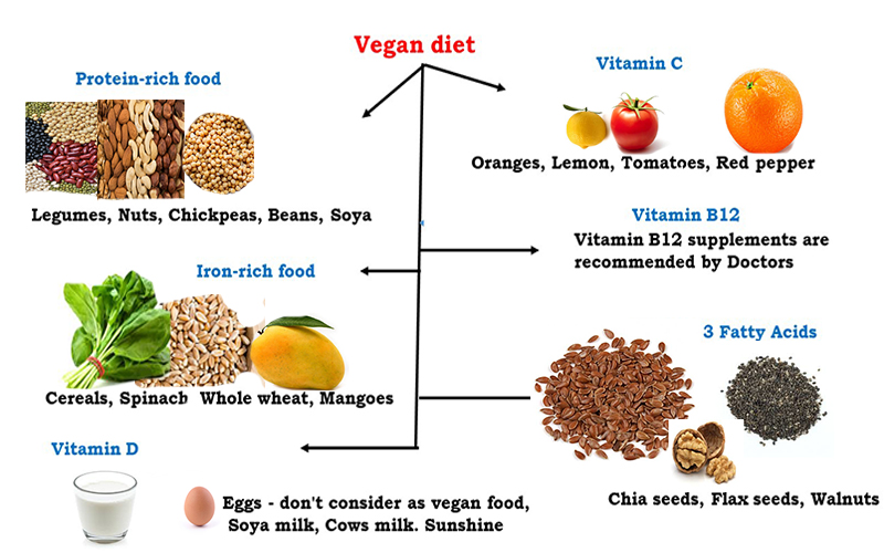 Vegan diet - vegans can get the best nutrition? - Health Vision Articles