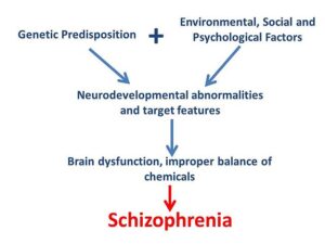 schizophrenia-mechanism