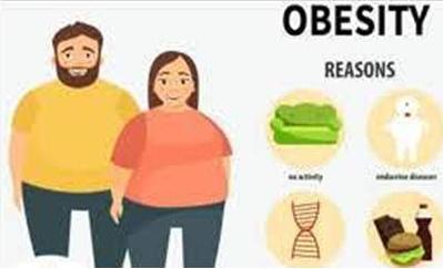obesity-and-practo