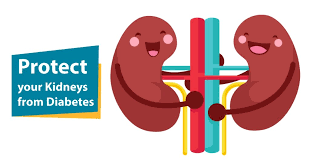 Diabetic Nephropathy: Impact of Diabetes on Kidneys - Health Vision