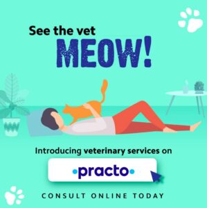 Practo-launches-online-veterinary-consultations-