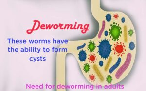 Need for deworming in adults