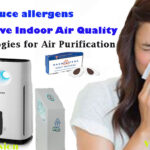 Reduce allergens that can trigger respiratory problems