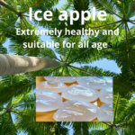 Ice apple or tadgola : The fruit of Palmyra palm tree