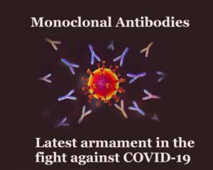 Monoclonal-antibodies