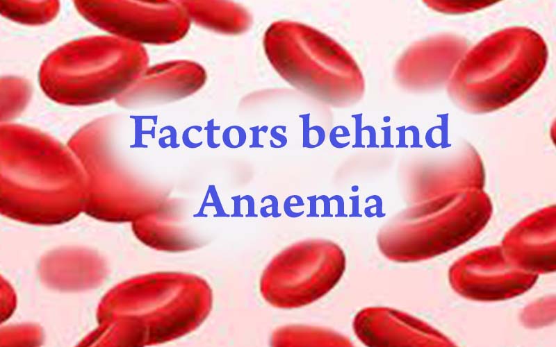 Factors behind Anaemia