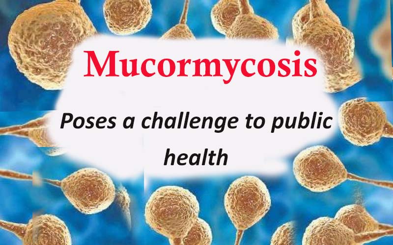 Mucormycosis poses a challenge to public health