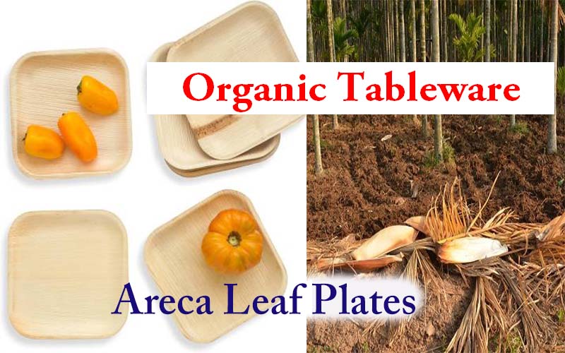 Organic Tableware