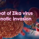 The threat of Zika virus : The zoonotic invasion