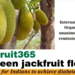 Jackfruit365 or Green jackfruit flour :  Promising for Indians to achieve diabetes remission