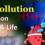Impact of air pollution on health and life
