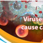 Viruses can cause cancer -Post Covid-19 scientific approach.