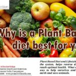 Plant based diet and lifestyle : Why it is best for you?